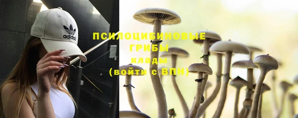 мяу мяу мука Инта